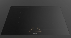 Berbel Induktionskochfeld, BFK 65i, autark
