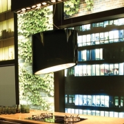 Falmec Spring E.ion-System, Schwarz, 80 cm, Inselhaube, mit 5 Jahren Garantie