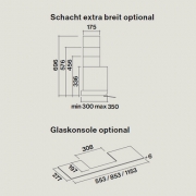 Falmec Move, Design, Edelstahl, schwarzes Glas, 120 cm, Wandhaube, mit 5 Jahren Garantie